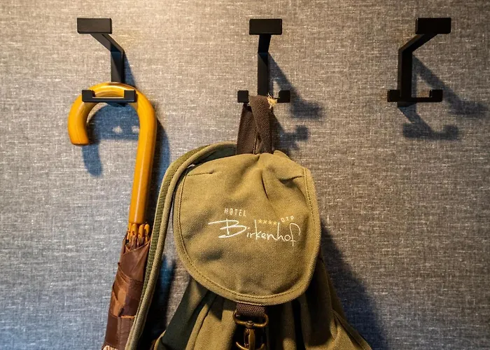 ホテル Otp Birkenhof 4*