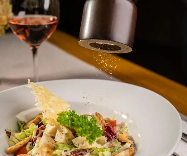 Otp Birkenhof ホテル バド クラインキルヒハイム